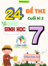 Tuyển tập 24 Đề thi cuối Kì 2 môn Sinh Học 7 sách Cánh Diều (Kèm đáp án)